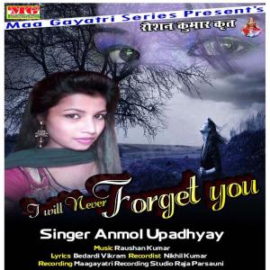 Dengarkan I Will Never Forget You lagu dari Anmol Upadhyay dengan lirik