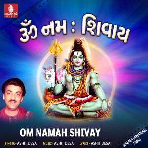 Ashit Desai的專輯Om Namah Shivay