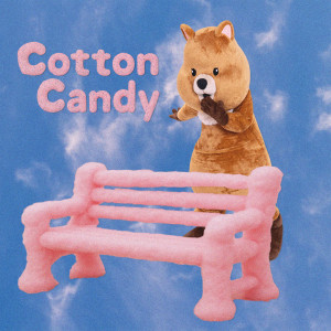 Album Cotton Candy from 네이비쿼카 (NavyQuokka)