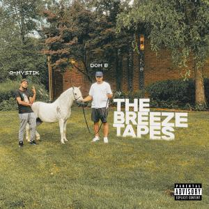 Album The Breeze Tapes (Explicit) oleh Dom B