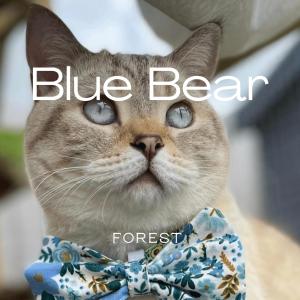 Listen to Blue Bear song with lyrics from Forest