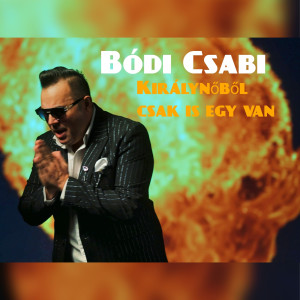 Listen to Királynőből csak is egy van song with lyrics from Bódi Csabi