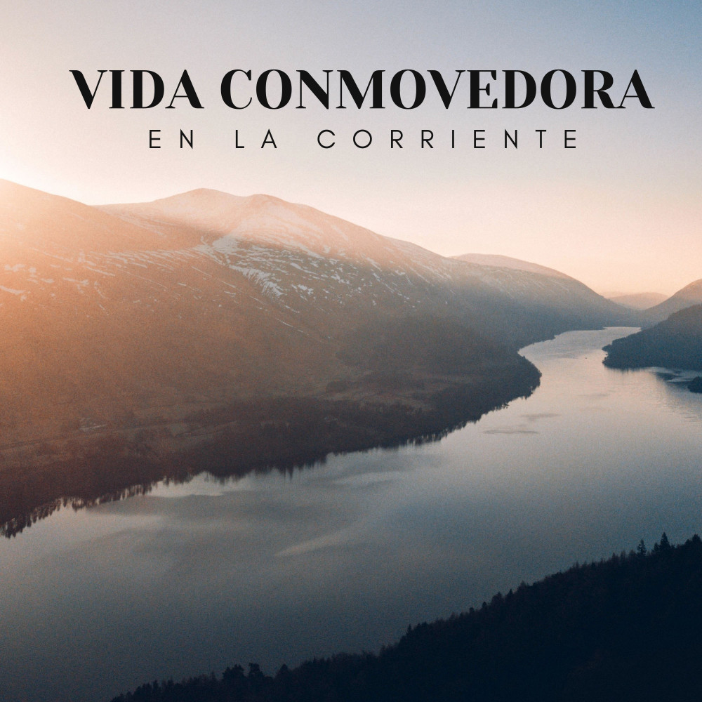 Vida Circundante