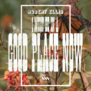 Album I Must Be in a Good Place Now from Robert Ellis