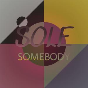 Various的专辑Sole Somebody