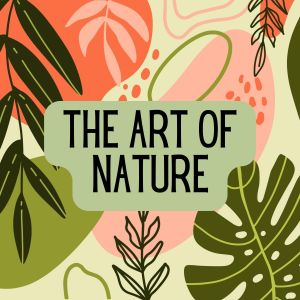 Album The Art of Nature from Picturesque Sound