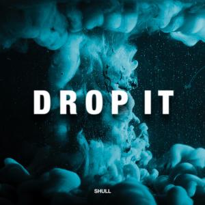 Listen to Drop It song with lyrics from SHULL