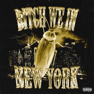 收聽8theroach的Bitch We In New York (Explicit)歌詞歌曲