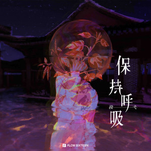 段弋的专辑保持呼吸