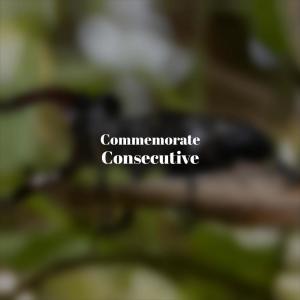 Album Commemorate Consecutive oleh Various
