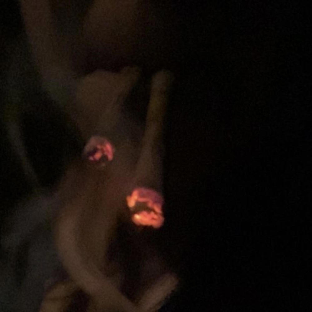 Infinitely Wasted (Explicit)
