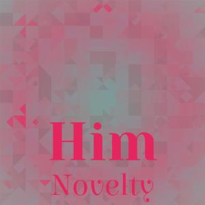 อัลบัม Him Novelty ศิลปิน Various Artists