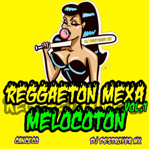 收聽DJ DESTROYER MX的Reggaeton mexa melocoton (Explicit)歌詞歌曲