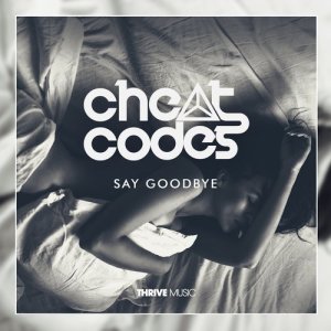 ดาวน์โหลดและฟังเพลง Say Goodbye พร้อมเนื้อเพลงจาก Cheat Codes