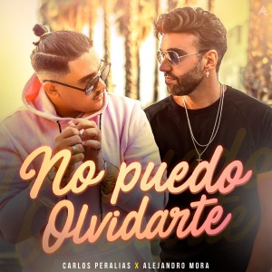 Album No Puedo Olvidarte from Carlos Peralías