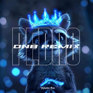 ดาวน์โหลดและฟังเพลง Pedro (Drum & Bass) พร้อมเนื้อเพลงจาก Jungle Queen