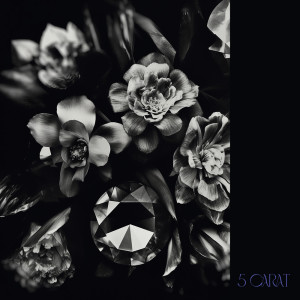 Listen to 5 Carat (feat. 唾奇, Ace the Chosen onE, RAITAMEN, サトウユウヤ & kiki vivi lily) song with lyrics from Pitch Odd Mansion