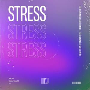 Album Stress (DaVincis & BASTL Remix) from EsTie