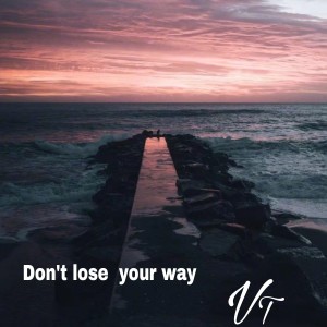 Listen to Lost (其他) song with lyrics from V TERD