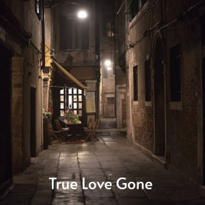 Dengarkan True Love Gone lagu dari Betty Madigan dengan lirik