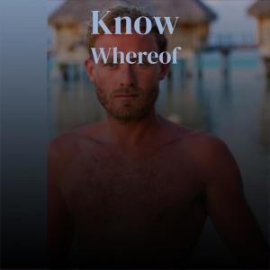 Various的专辑Know Whereof