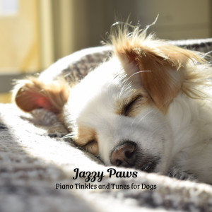 Listen to Bark and Roll Blues song with lyrics from Bossa Nova Playlist for Coffeehouses