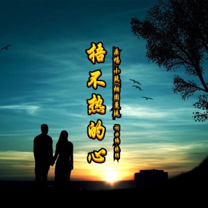 Listen to 捂不热的心DJ(对唱版) (完整版) song with lyrics from 晓朋
