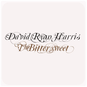 Album The Bittersweet from David Ryan Harris