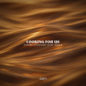Listen to Looking For Us (feat. WINCK) song with lyrics from Shahin Shantiaei