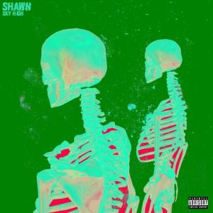 Album Skyhigh (Explicit) oleh Shawn