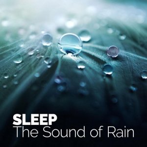ดาวน์โหลดและฟังเพลง Binaural Rainfall พร้อมเนื้อเพลงจาก Baby Sleep