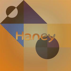 Various Artists的專輯Haney