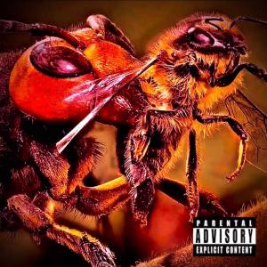 收聽Jimmy Haze的Yellowjacket (feat. Tonee) (Explicit)歌詞歌曲