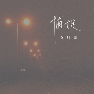 Listen to 捕捉 song with lyrics from 张叶蕾