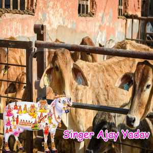 Listen to Seva Gau Mat Ki Kare Chh Ya Duniya Jan Chh Sari song with lyrics from Ajay Yadav