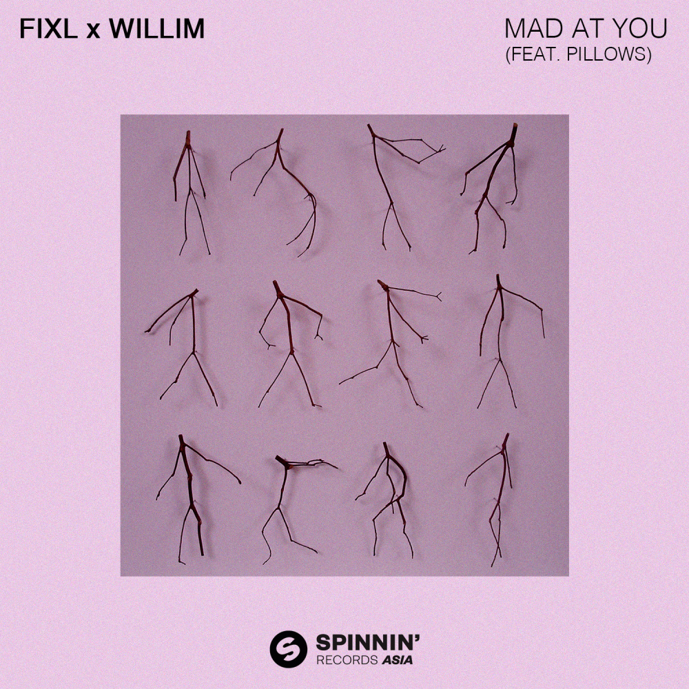 Mad At You (feat. Pillows) [Extended Mix] (Extended Mix)