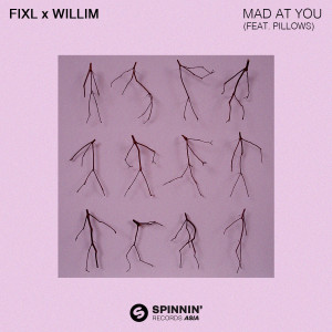 收聽Willim的Mad At You (feat. Pillows) [Extended Mix] (Extended Mix)歌詞歌曲