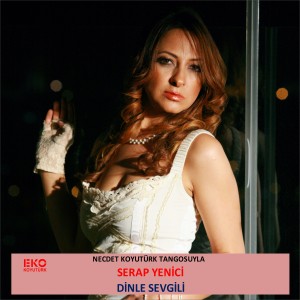 收听Serap Yenici的Dinle Sevgili (Necdet Koyutürk Tangosuyla)歌词歌曲