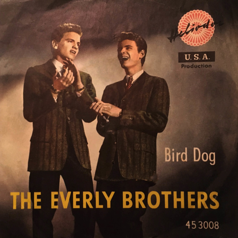 Bird Dog