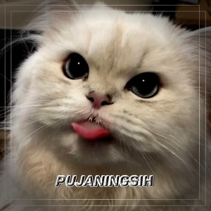 Listen to Pujaningsih song with lyrics from DJ OSLO