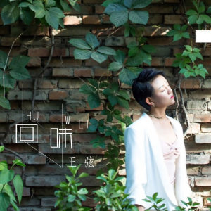 Dengarkan 回味 (伴奏) lagu dari 王弦 dengan lirik