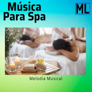 ดาวน์โหลดและฟังเพลง Musica para Dormir พร้อมเนื้อเพลงจาก Musica De Spa