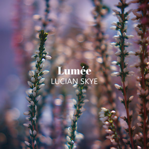 อัลบัม New Moon Drain ศิลปิน Lumée