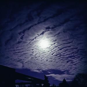 Saint Jay的專輯Re·in·kar·na·ti·on (feat. Oppertunity) [Explicit]