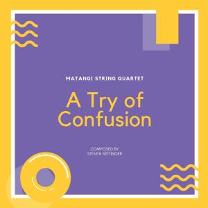 Dengarkan A Try of Confusion lagu dari Steven Settinger dengan lirik