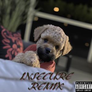 ดาวน์โหลดและฟังเพลง Insecure พร้อมเนื้อเพลงจาก Will Love