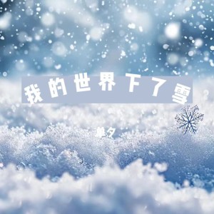 Album 我的世界下了雪 from 单夕