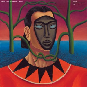 Album Function as a Meaning from 