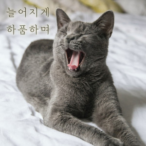 셀바이뮤직 Sellbuymusic的专辑늘어지게 하품하며 Yawning droopy