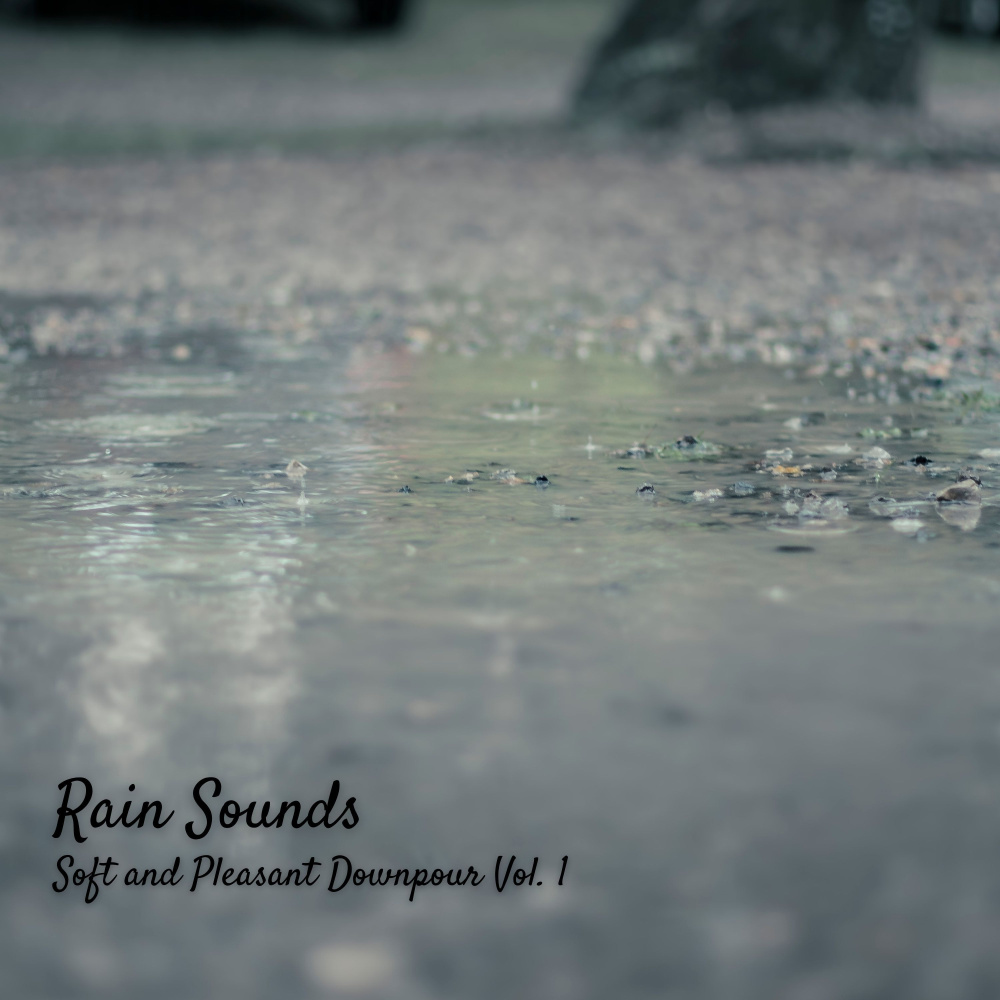 Gentle Rain Soft Thunder Relaxation Sound
